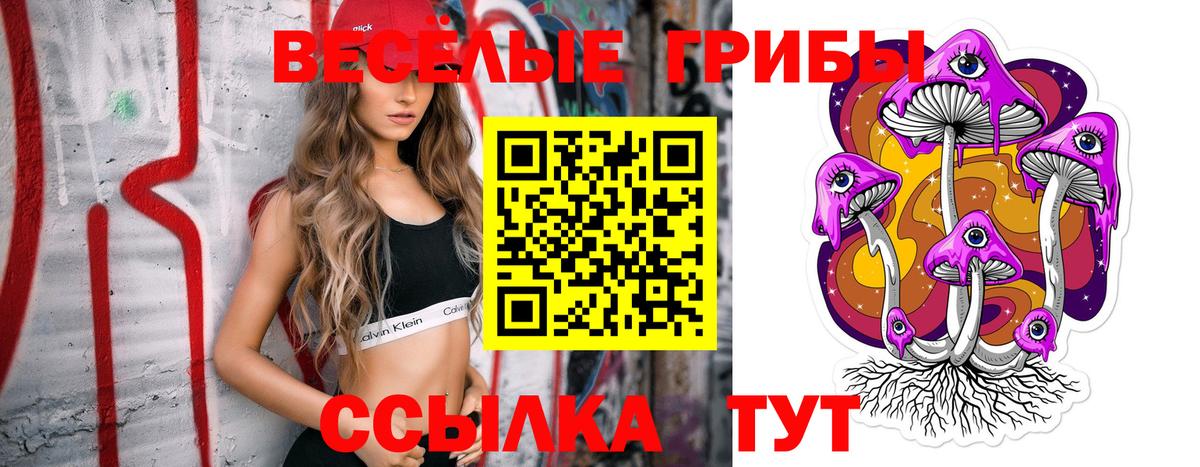 Псилоцибиновые грибы прущие грибы Архангельск